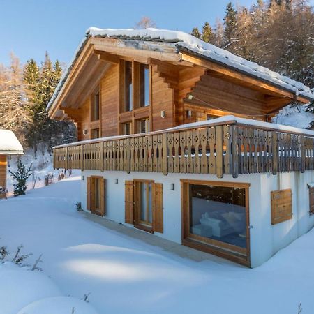 Chalet Asphodel Nendaz Zewnętrze zdjęcie