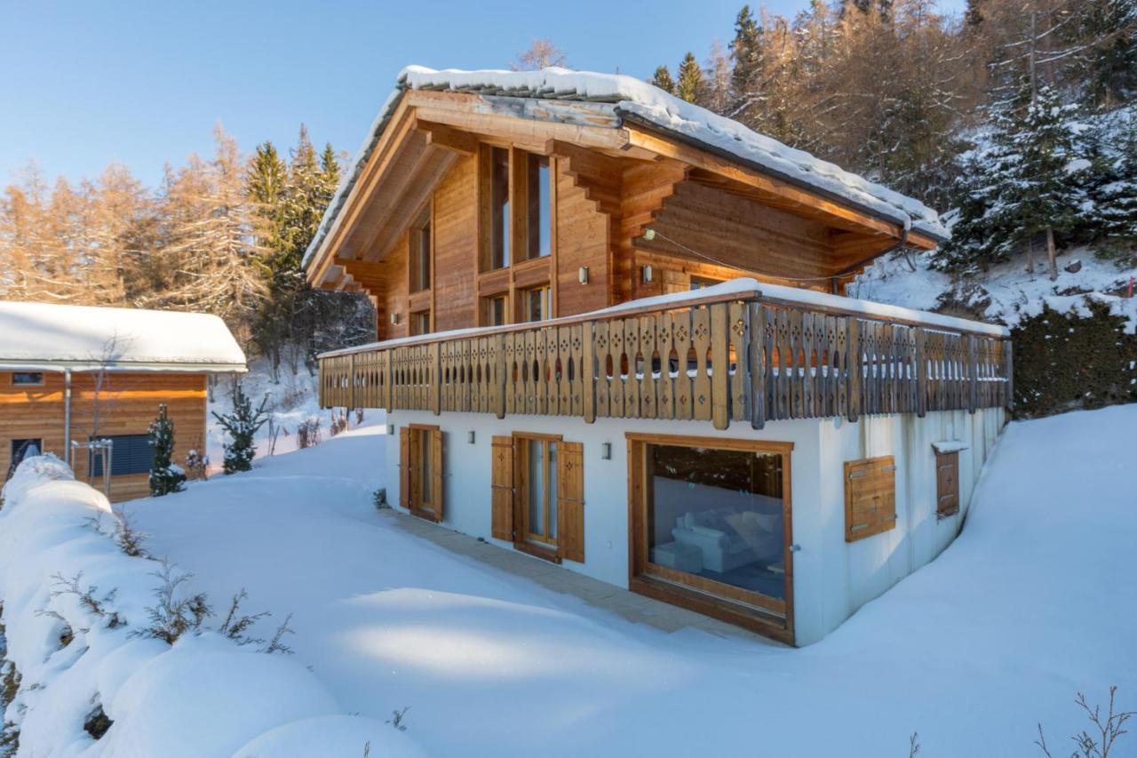 Chalet Asphodel Nendaz Zewnętrze zdjęcie
